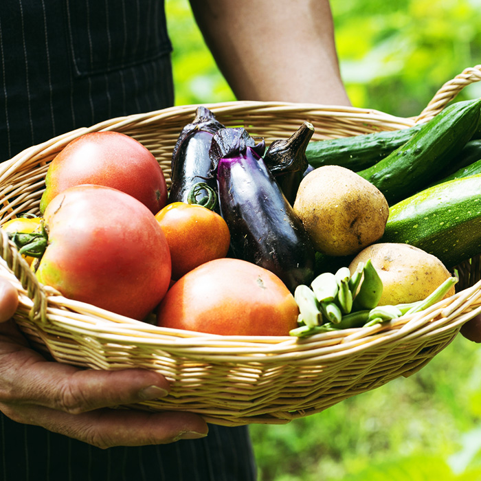 野菜の旬や特性を知るともっと面白い