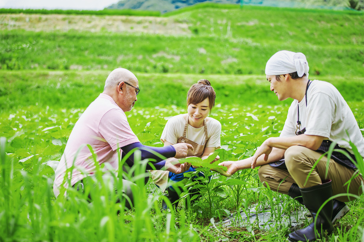 枠にとらわれない活動で野菜への関心を高める